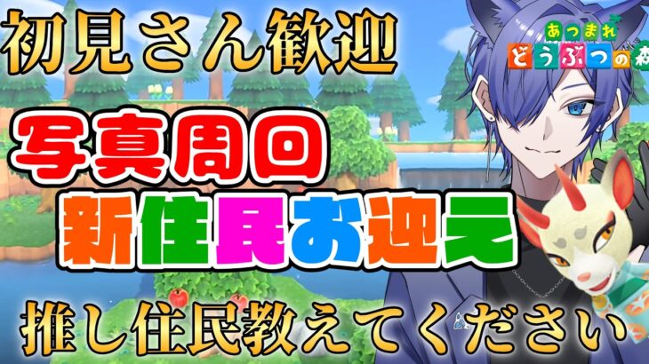 【#あつ森配信  】5分だけお話しましょ！目指せ島評価星3写真周回生活配信！ #213 #あつまれどうぶつの森  #雑談配信