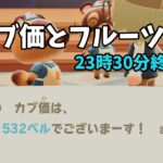 【あつ森】カブ価532ベルと全種フルーツを配布！まったりカブ活初心者歓迎
