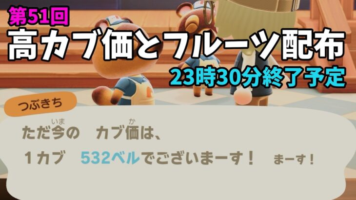 【あつ森】カブ価532ベルと全種フルーツを配布！まったりカブ活初心者歓迎
