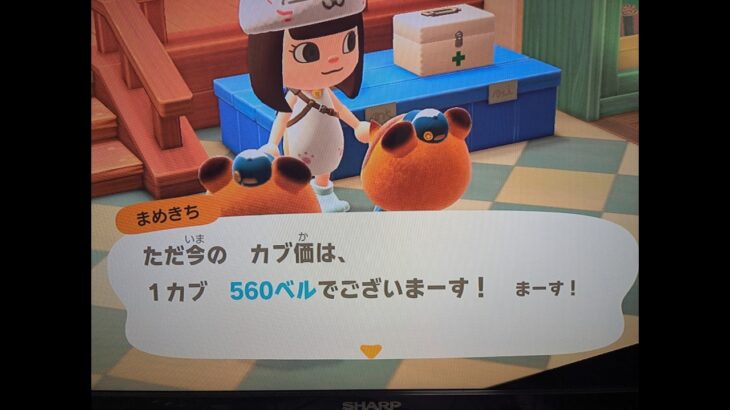 【あつ森】カブ560高評価、チャンネル登録後フレ申請してください！
