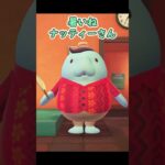 【暑いね】パタパタナッティーさん/あつ森　#57