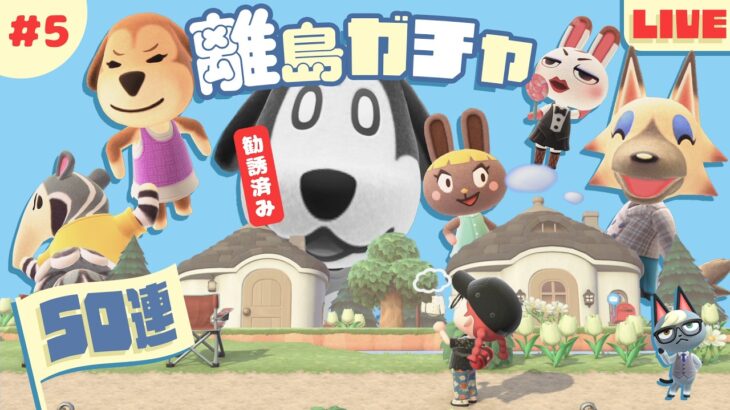 【あつ森 離島ガチャ 第5回】そろそろ来てもらわないと怒りますよ？🐈｜#animalcrossing
