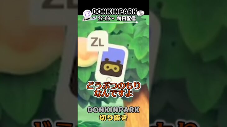 【あつ森】発売6年目にして初めて気づく配信者【あつまれどうぶつの森】 #どうぶつの森  #animalcrossing   #twitch #switch2