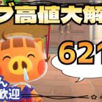 【あつ森実況】カブ価最大621ベル！！参加型！【初見さん歓迎！】