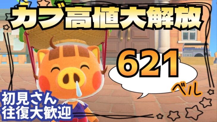 【あつ森実況】カブ価最大621ベル！！参加型！【初見さん歓迎！】