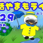 6/29（月）☀️朝活やまもライブ【あつ森雑談配信】
