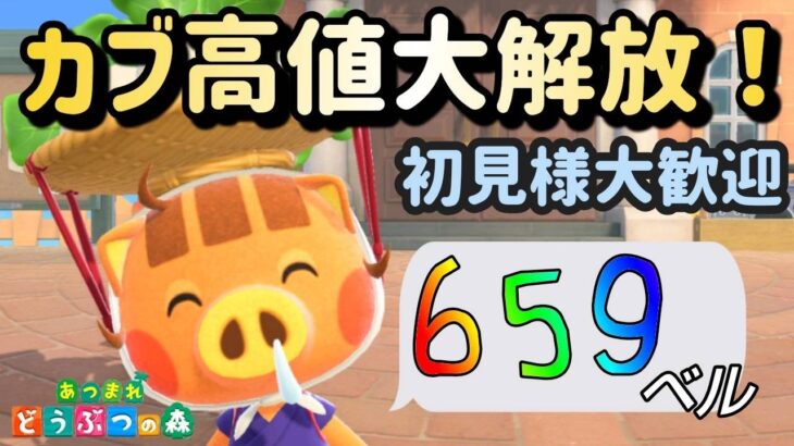 【あつ森実況】カブ価最大659ベルカブ活！！参加型！【初見さん歓迎！】