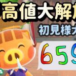 【あつ森実況】カブ価最大659ベルカブ活！！参加型！【初見さん歓迎！】