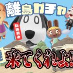 【あつ森 離島ガチャ 第6回】手持ち最後の60枚💔誰かは来てくれよ!!!!｜#animalcrossing