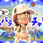 【あつ森🫘】6年目にして初めての『青バラの交配』をする🌷💙￤青バラ捜索本部隊パート２【6/30(火)】