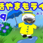 6/9（火）☀️朝活やまもライブ【あつ森雑談配信】