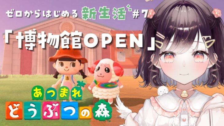 【あつ森】はじめてのかぶと博物館！ #7【たここ/Vtuber】