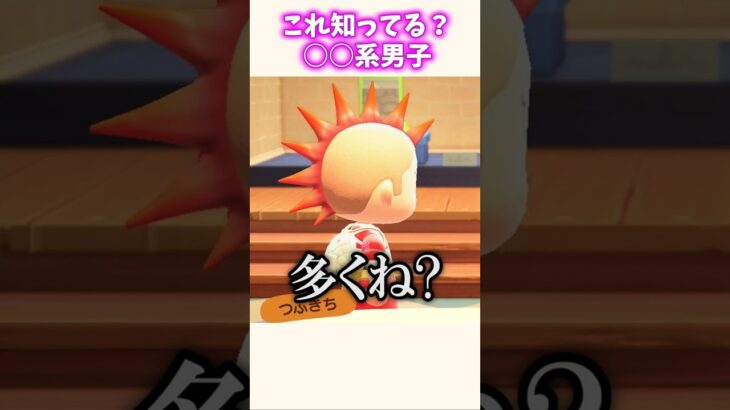 80種類もある〇〇系男子ww #あつ森