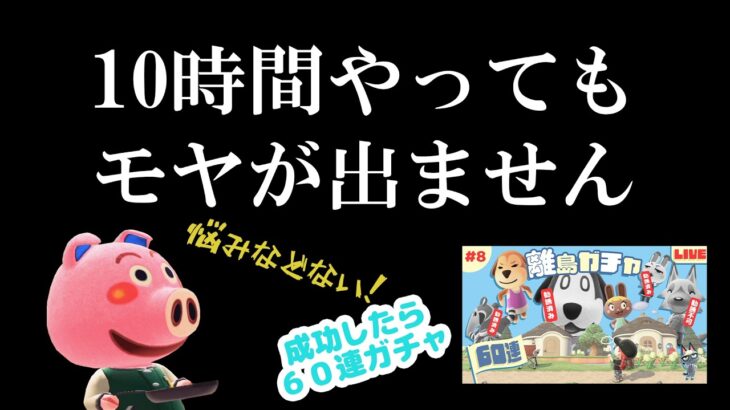 【あつ森 離島ガチャ 第8回】すみません。モヤが出ません。｜#animalcrossing