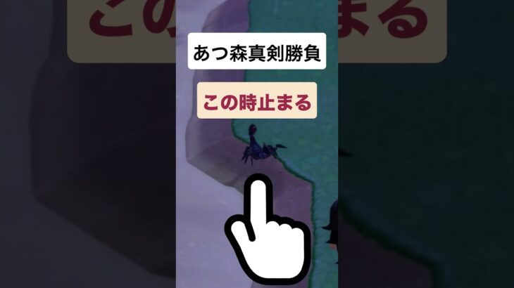 【あつ森】サソリとの一騎打ち…勝った！！🦂#あつ森#あつまれどうぶつの森#ACNH