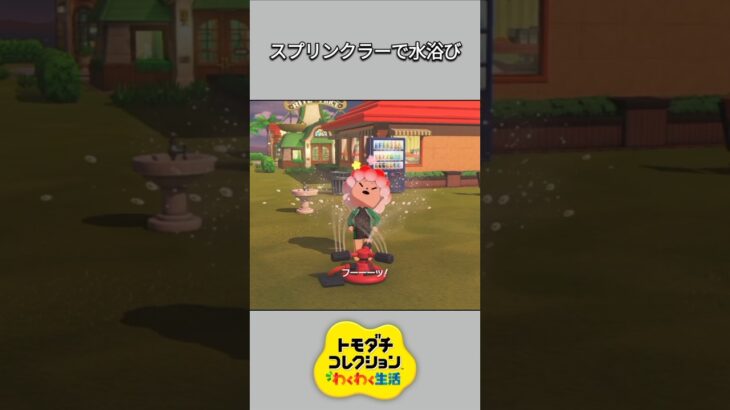 【トモコレ】スプリンクラーで水浴びするちゃちゃまる✨【あつ森】【トモダチコレクションわくわく生活】【ACNH】 #short