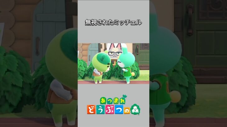 【あつ森】ミッチェル、のりおに挨拶したのに無視されちゃった！？【あつまれどうぶつの森】【どうぶつの森】【ACNH】 #short