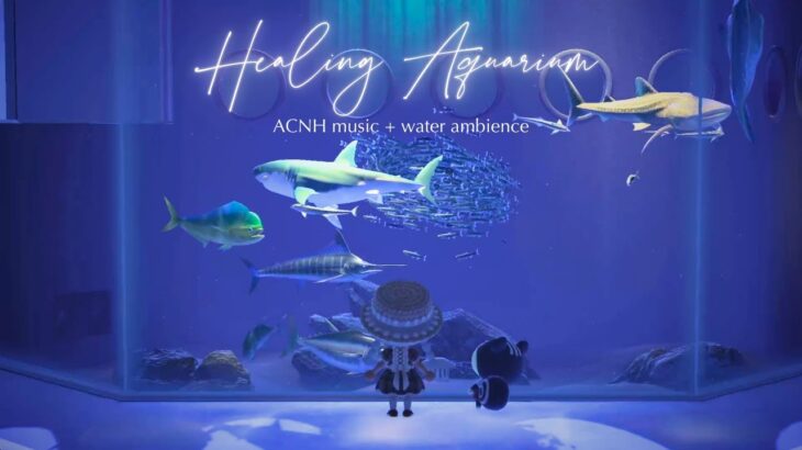 【あつ森BGM】心を癒す水族館🫧🐬 | 3時間🐟 | 神秘的な海の世界と流れる水の音でリラックス｜途中広告なし | 博物館 原曲 | 作業用・勉強用BGM【ACNH】