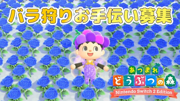 CM【あつ森】バラ狩りお手伝い募集　視聴者参加型配信