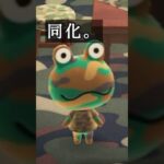 【お部屋】彼がどこにいるのか全くわからないね。【あつ森DLC】