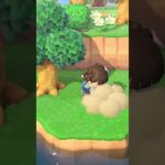 Day 199 • #acnh #animalcrossing #animalcrossingnewhorizons #cozygames #nintendo #nintendoswitch