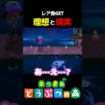 【あつ森】レア魚GET!配信者としての理想と現実