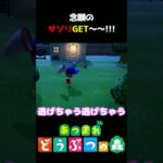 【あつ森】初めてサソリGET～!!