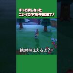 【あつ森ショート】ニジイロクワガタGET！ゲームの中でもかわいい(実際に飼ってますの♡) #あつ森 #あつまれどうぶつの森 #animalclossing #ゲーム配信 #しゅまのゲーム帳
