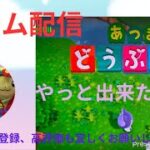 あつまれどうぶつの森LIVE　　　　　　来ました🏖🏖#あつ森配信中