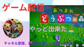 あつまれどうぶつの森LIVE　　　　　　来ました🏖🏖#あつ森配信中