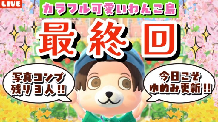 【あつ森】ついに最終回！？住民全員から写真ゲットして夢見更新まで目指すLIVE配信【あつまれ どうぶつの森】