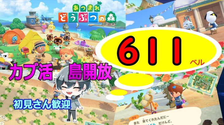 【あつ森】　島開放　　基本放置　カブ価６１１ベル☆　　　往復OK！初見さん歓迎！　きゃらめるまきあー島＃015