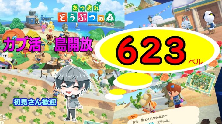 【あつ森】　島開放　基本放置　カブ価６２３ベル☆　１８時まで　　今回はみかん島！　往復OK！初見さん歓迎！　きゃらめるまきあー島＃022