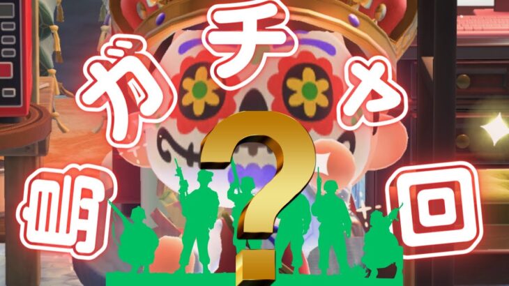 【島ガチャ】【あつ森】６月３日：東紫乃、生誕【P一族】