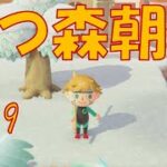 【朝活】Re久しぶりの朝活。【あつ森】