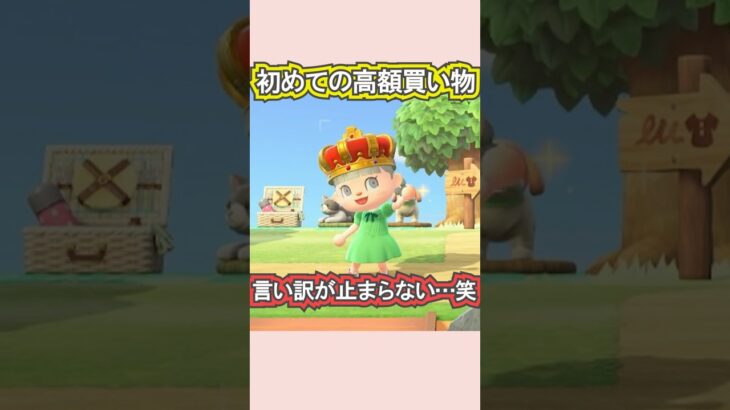 特別な日に王冠と出会った！！【あつ森】 #Shorts #あつ森
