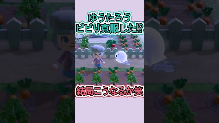 あれ？ゆうたろう今日は逃げない…？【あつ森】 #Shorts #あつ森
