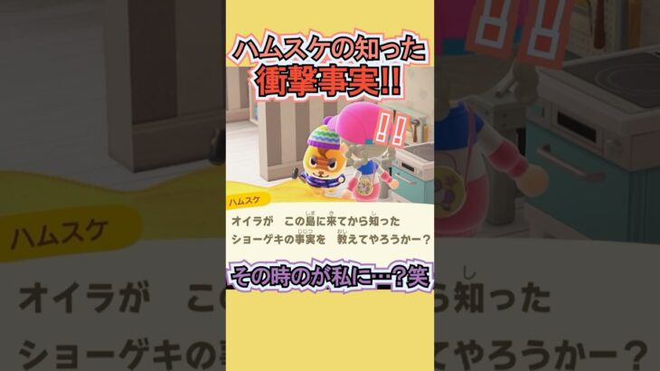 ハムスケの衝撃事実、心当たりあるんだけど笑【あつ森】 #Shorts #あつ森
