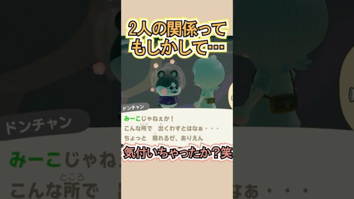 ドンチャン、その反応はバレてるぞ？笑【あつ森】 #Shorts #あつ森