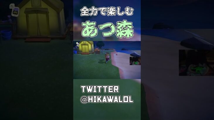 【あつ森】全力で楽しむあつまれ！どうぶつの森！！ #Shorts #あつ森