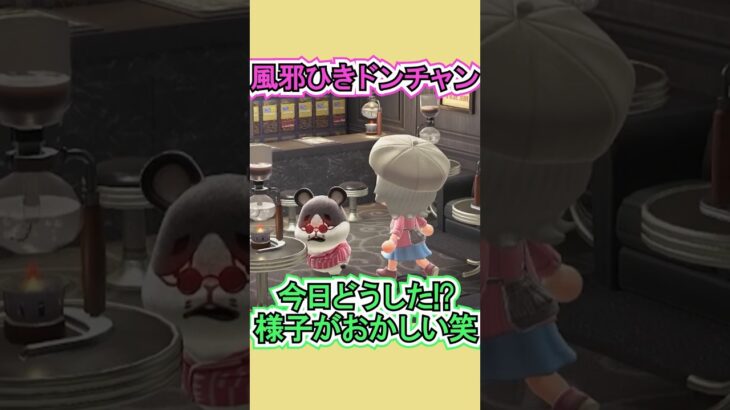 風邪ひいたドンチャン荒ぶってない！？笑【あつ森】 #Shorts #あつ森