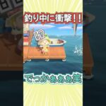 釣り中に過去最大の魚に出会った!!【あつ森】 #Shorts #あつ森