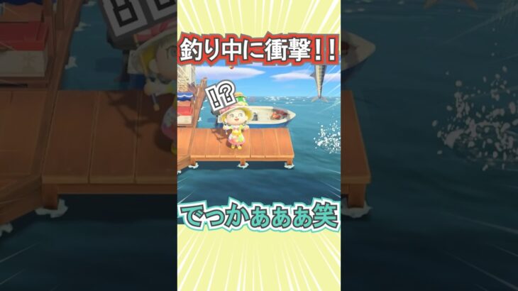 釣り中に過去最大の魚に出会った!!【あつ森】 #Shorts #あつ森