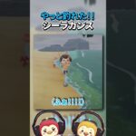 やっと釣れた！！シーラカンス☆【あつまれどうぶつの森】#Shorts#あつ森