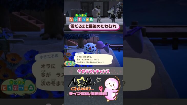 【あつ森】雪だるまとの別れ #Shorts