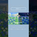 【あつ森】博物館づくり🥀【島クリ Shorts】