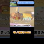 【あつ森】≪島中を💰≫　カンストなるか？⑤　　The Road to Max Bells⑤