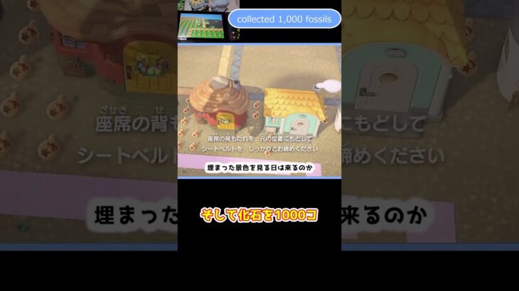 【あつ森】≪島中を💰≫　カンストなるか？⑤　　The Road to Max Bells⑤