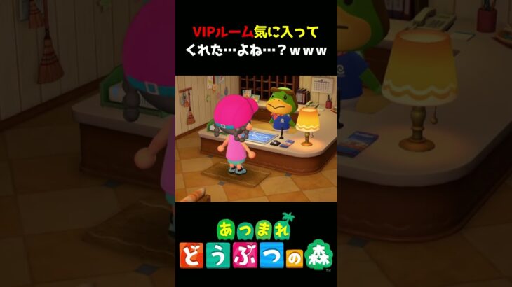 【あつ森】VIPルーム気に入ってくれたよね♪