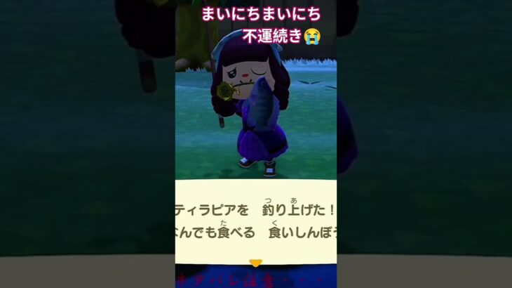 きょうもなの・・・蜂(´；ω；`)ｳｩｩ #あつ森 #あつまれどうぶつの森＃VTuber個人勢